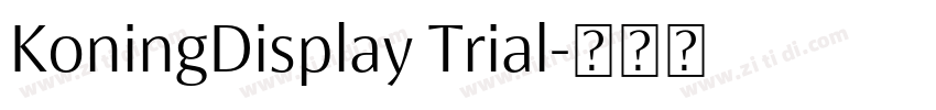 KoningDisplay Trial字体转换